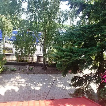 Akhilleus Vendeghaz * Nyíregyháza