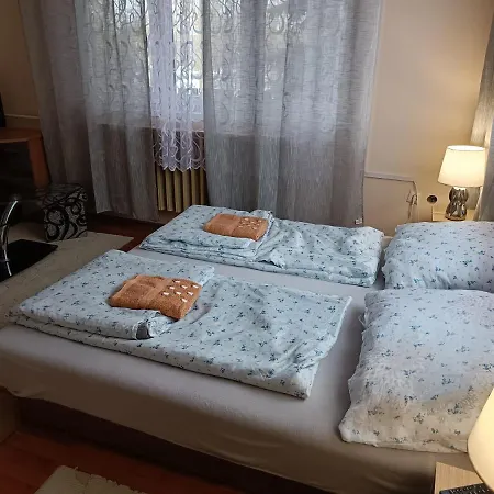 Akhilleus Vendeghaz بيت ضيافة Nyíregyháza